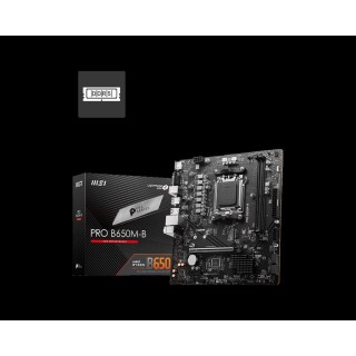 MSI : PRO B650M-B